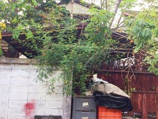 出售 土地 在 Suan Luang, 曼谷