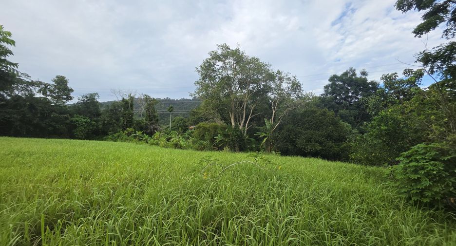For sale land in Thalang, Phuket