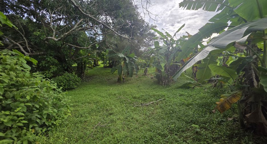 For sale land in Thalang, Phuket