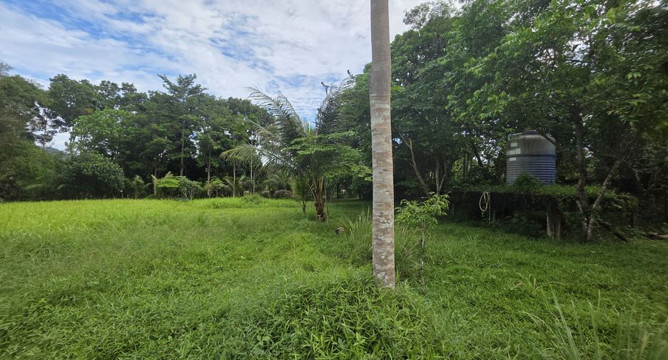 For sale land in Thalang, Phuket