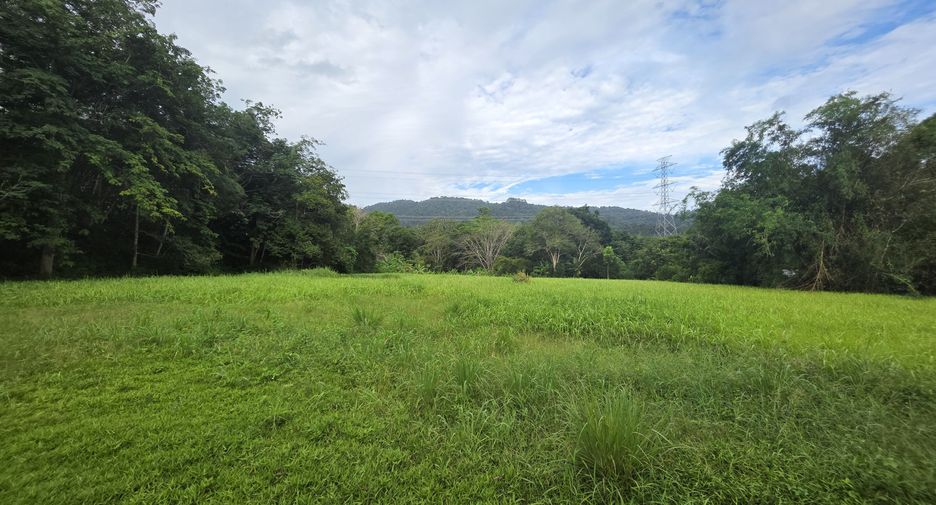 For sale land in Thalang, Phuket