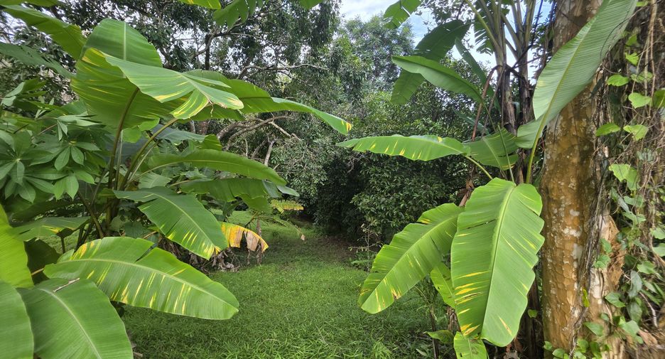 For sale land in Thalang, Phuket