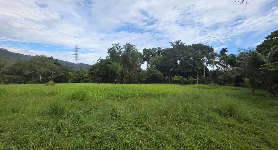 For sale land in Thalang, Phuket