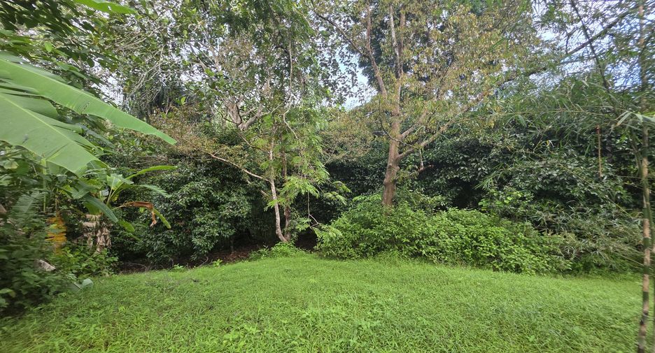 For sale land in Thalang, Phuket