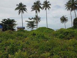 ขาย ที่ดิน ใน เกาะลันตา, กระบี่