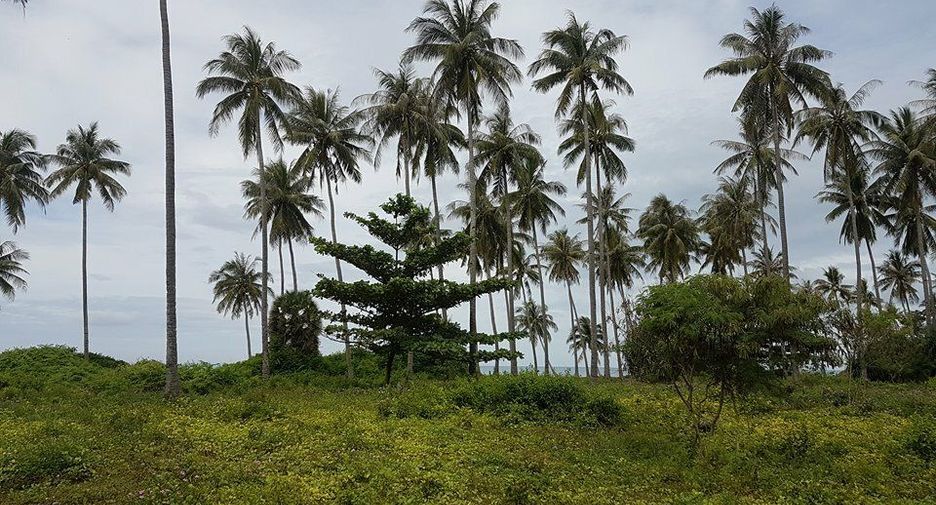 For sale land in Ko Lanta, Krabi