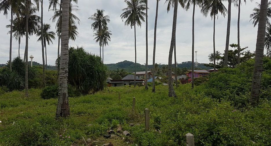 For sale land in Ko Lanta, Krabi