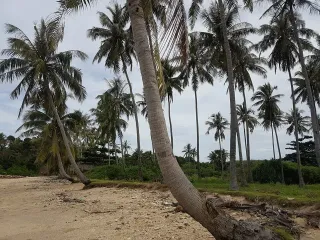 ขาย ที่ดิน ใน เกาะลันตา, กระบี่