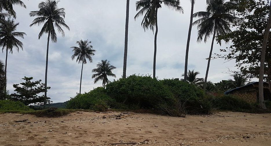 For sale land in Ko Lanta, Krabi