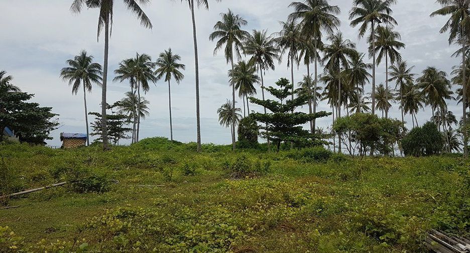 For sale land in Ko Lanta, Krabi