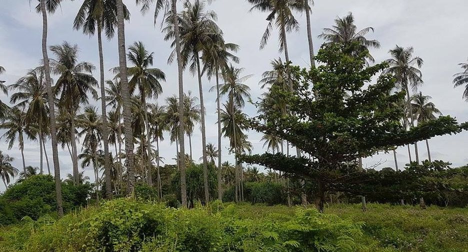 For sale land in Ko Lanta, Krabi