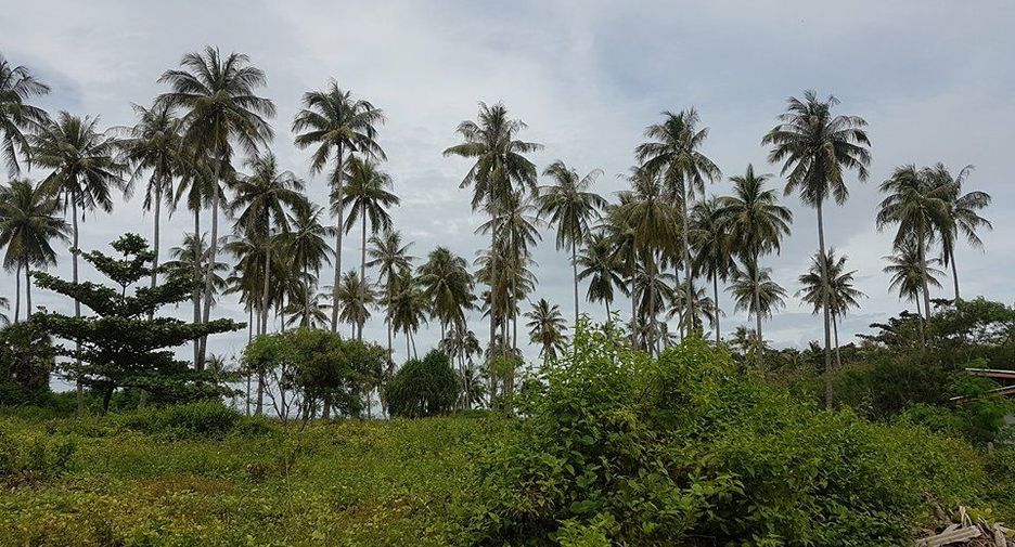For sale land in Ko Lanta, Krabi