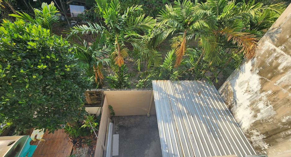 Reihenhaus zur Miete mit 4 Zimmer in Wang Thonglang, Bangkok