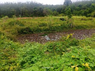 For sale land in Thalang, Phuket