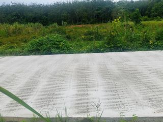 For sale land in Thalang, Phuket