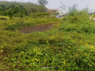 Terreno en venta en Thalang, Phuket