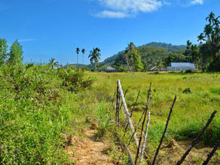 Grundstück zum Kauf in Ko Lanta, Krabi