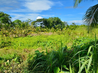 Grundstück zum Kauf in Ko Lanta, Krabi