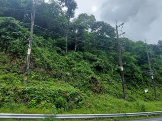 出售 土地 在 Kathu, 普吉