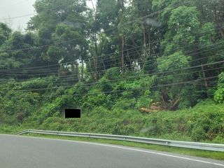 出售 土地 在 Kathu, 普吉
