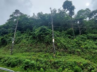 出售 土地 在 Kathu, 普吉