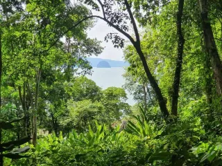 For sale land in Ko Yao, Phang Nga