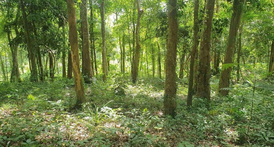 For sale land in Ko Yao, Phang Nga