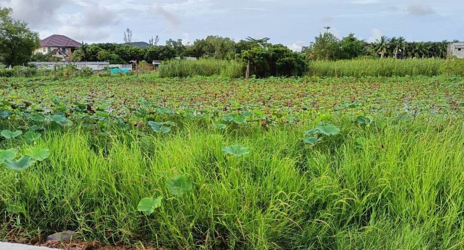 For sale land in Thalang, Phuket