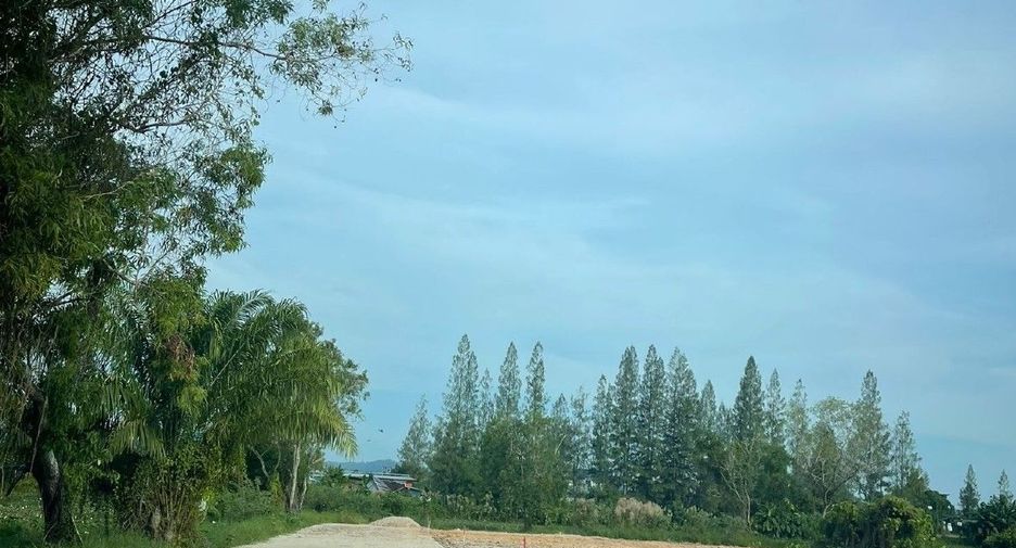 For sale land in Thalang, Phuket