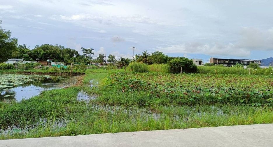 For sale land in Thalang, Phuket