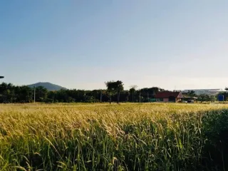 出售 土地 在 塔朗, 普吉