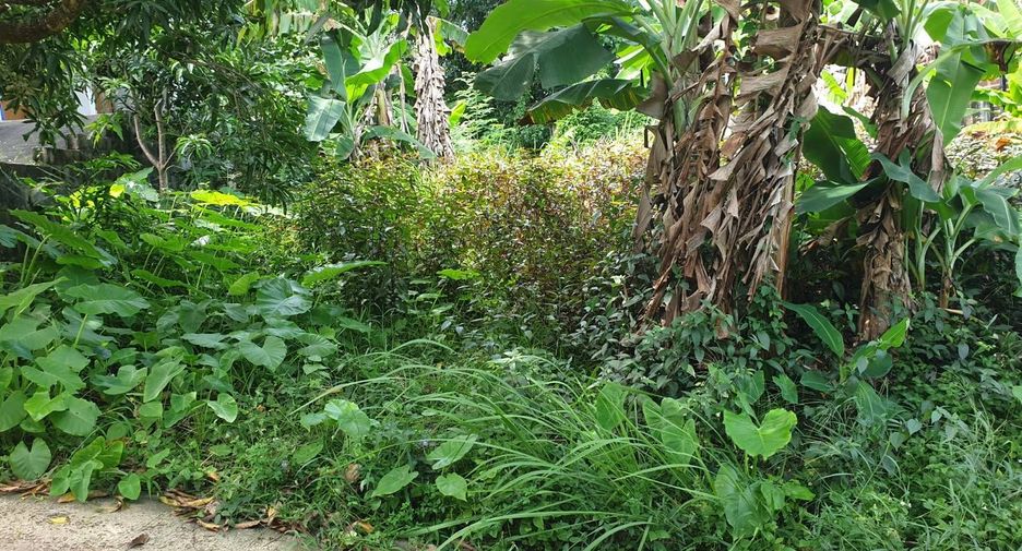 À vendre terrain à Mueang Phuket, Phuket