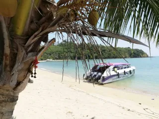 For sale land in Mueang Phuket, Phuket