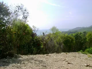 出售 土地 