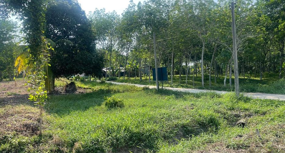 For sale land in Takua Thung, Phang Nga