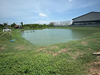 For sale land in Mueang Samut Prakan, Samut Prakan