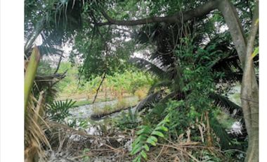 For sale land in Chom Thong, Bangkok