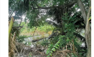 For sale land in Chom Thong, Bangkok
