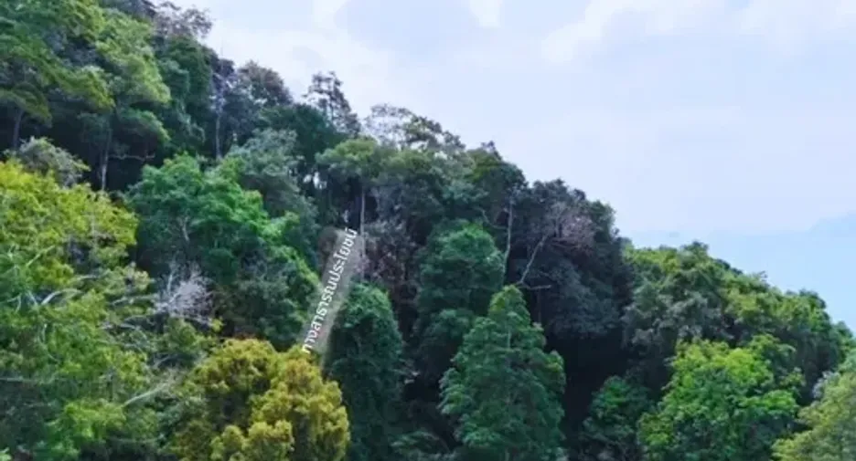 出售 土地 在 Mueang Krabi, Krabi