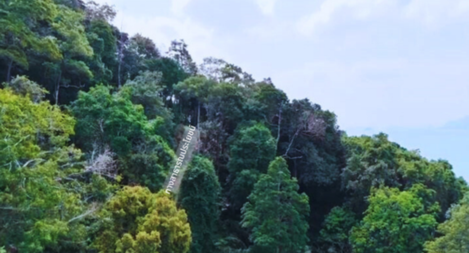 For sale land in Mueang Krabi, Krabi