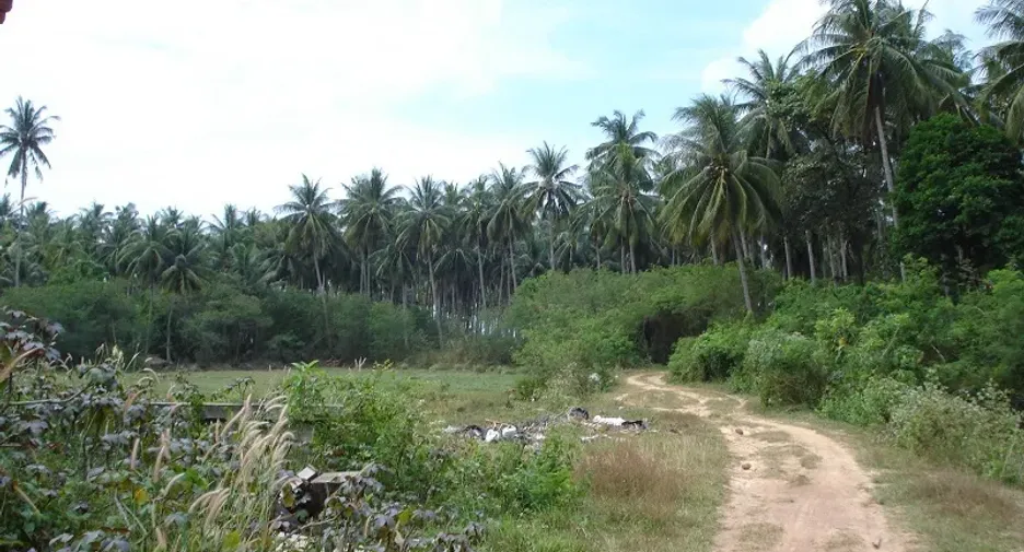 出售 土地 在 Ko Lanta, Krabi