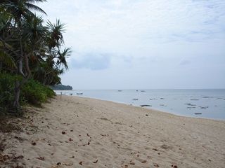 出售 土地 在 Ko Lanta, Krabi