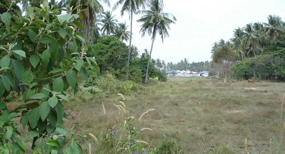 出售 土地 在 Ko Lanta, Krabi