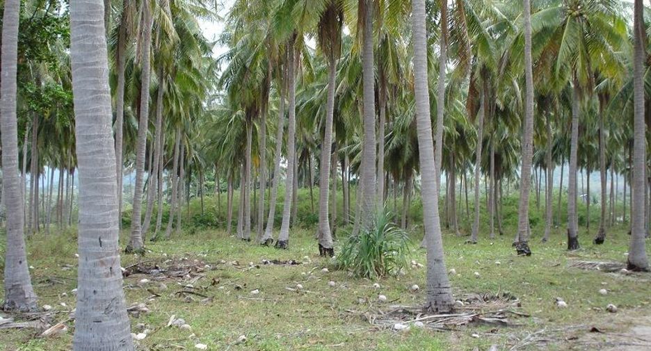 出售 土地 在 Ko Lanta, Krabi