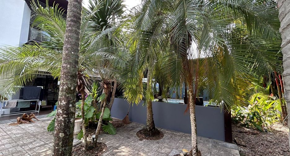 For sale 4 bedrooms villa in Kathu, Phuket