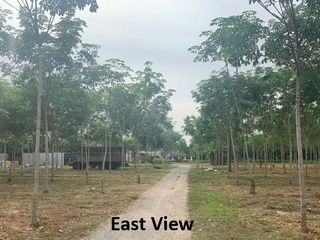 ขาย ที่ดิน ใน ตะกั่วทุ่ง, พังงา