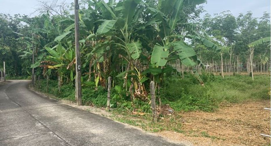 For sale land in Takua Thung, Phang Nga
