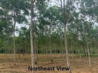 ขาย ที่ดิน ใน ตะกั่วทุ่ง, พังงา