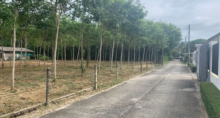 For sale land in Takua Thung, Phang Nga
