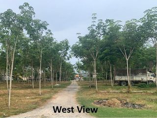 ขาย ที่ดิน ใน ตะกั่วทุ่ง, พังงา